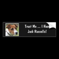 Jack Russell Terrier autocollants pour voiture