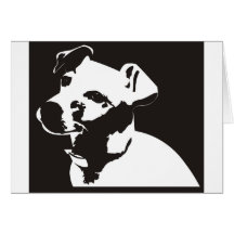 Jack Russell Terrier Cartes De Vœux