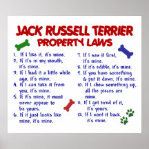 JACK RUSSELL TERRIER PL2 POSTERS