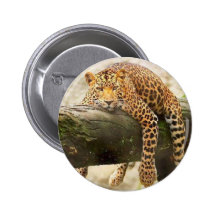 Jaguar Badges