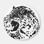 Jaguar hurlant magnets pour réfrigérateur