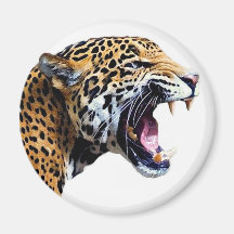 jaguar magnets pour réfrigérateur