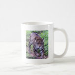 JAGUAR tasses