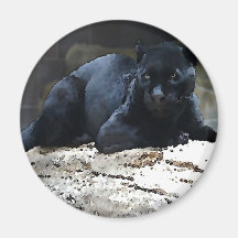 Jaguar noir aimant pour réfrigérateur