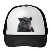 Jaguar noir casquettes