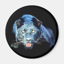 Jaguar - panthère noire aimants