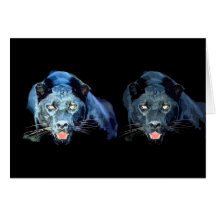 Jaguar - panthère noire cartes