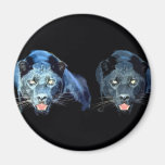 Jaguar - panthère noire magnets