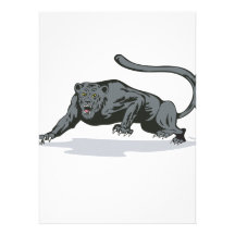 Jaguar rôdant bristols personnalisés