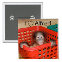 J'aime Alfred le bébé d'orang-outan Pin's Avec Agrafe