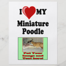 J'aime (coeur) mon chien de caniche miniature prospectus