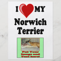 J'aime (coeur) mon chien de Norwich Terrier Prospectus