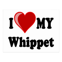 J'aime (coeur) mon chien de whippet carte postale