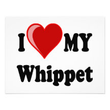 J'aime (coeur) mon chien de whippet carton d'invitation