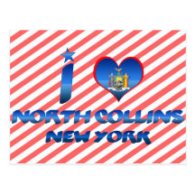 J'aime Collins du nord, New York Carte Postale