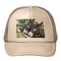 J'aime des ânes ! casquette
