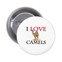 J'aime des chameaux badges avec agrafe