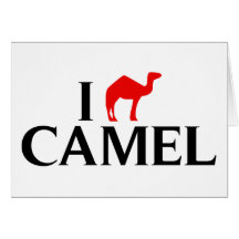 J'aime des chameaux carte