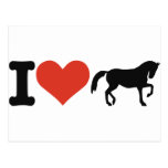 J'aime des chevaux cartes postales
