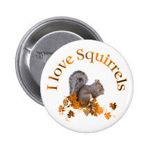 J'aime des écureuils badges avec agrafe