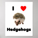 J'aime des hérissons poster