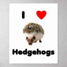 J'aime des hérissons poster