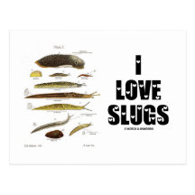 J'aime des lingots (naturaliste/nature) cartes postales