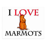 J'aime des marmottes cartes postales