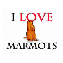 J'aime des marmottes cartes postales