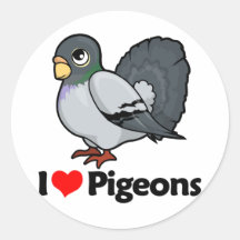 J'aime des pigeons adhésifs