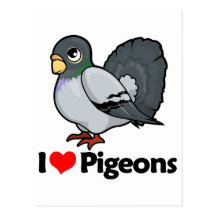 J'aime des pigeons carte postale