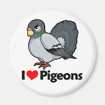 J'aime des pigeons magnets