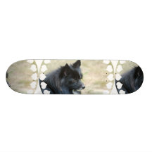 J'aime la planche à roulettes de Pomeranians