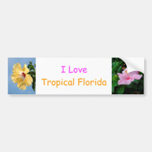 J'aime l'adhésif pour pare-chocs tropical de la Fl Autocollants Pour Voiture