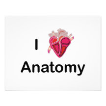 J'aime l'anatomie avec le coeur humain ! bristol personnalisé