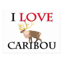 J'aime le caribou cartes postales