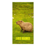 J'aime le carte photo de capybaras photocarte customisée