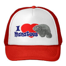 J'aime le casquette de boule de lamantins