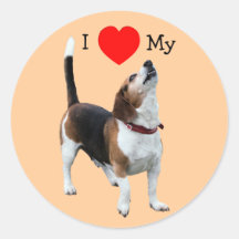 J'aime le coeur mon autocollant de chien de beagle