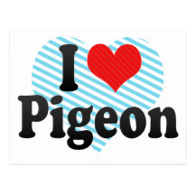 J'aime le pigeon cartes postales