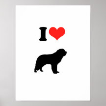 J'aime le saint Bernards Affiche