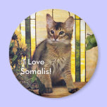 J'aime les chats somaliens magnets