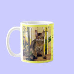 J'aime les chats somaliens tasses