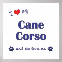 J'aime ma canne Corso (le chien femelle) Affiches