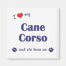 J'aime ma canne Corso (le chien femelle) Magnets