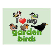 J'aime mes oiseaux de jardin carte postale