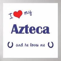 J'aime mon Azteca (le cheval masculin) Posters