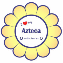 J'aime mon Azteca (le cheval masculin) Découpages En Acrylique