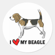J'aime mon beagle adhésifs ronds