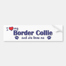 J'aime mon border collie (le chien femelle) adhésifs pour voiture